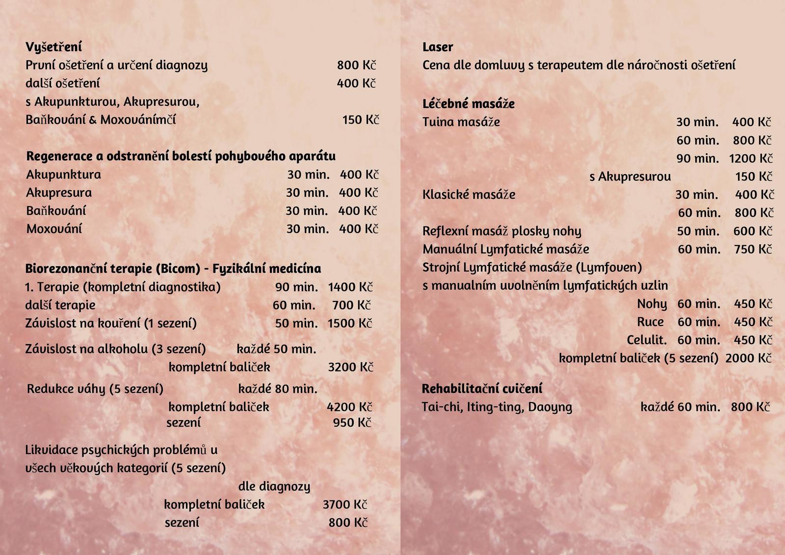 CZ Text_ Innenseiten 2019-page-001.jpg